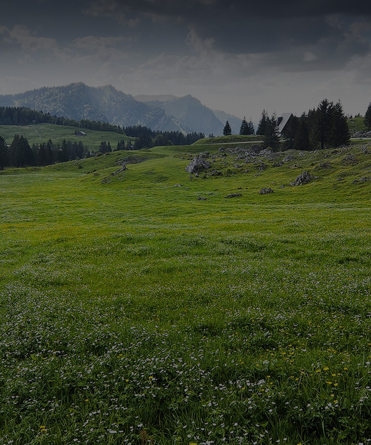 安装案例 - 常州启融智能设备有限公司