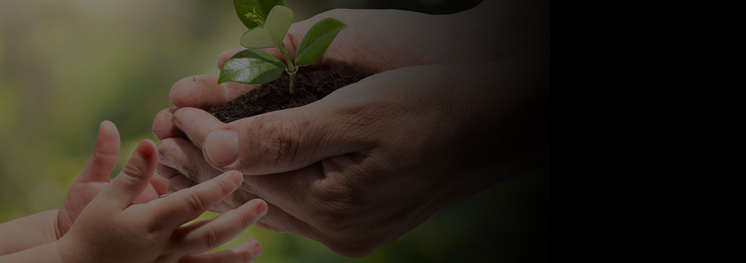 主动式保养提醒服务